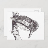 KINGFISHER BRIEFKAART (Voorkant / Achterkant)