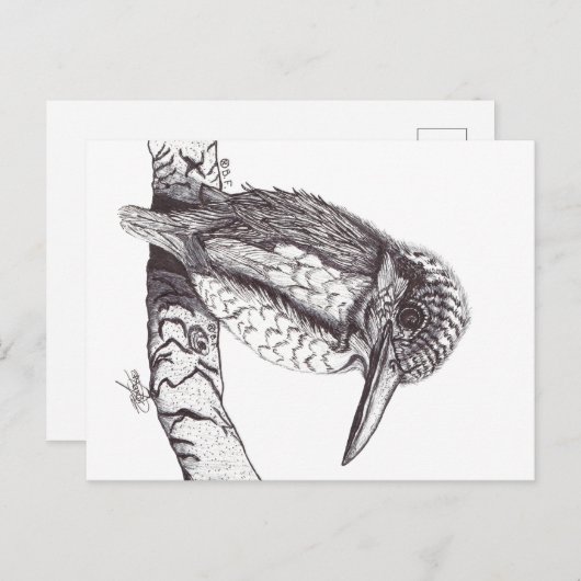 KINGFISHER BRIEFKAART (Voorkant / Achterkant)