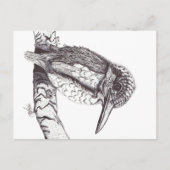 KINGFISHER BRIEFKAART (Voorkant)