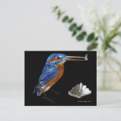 KINGFISHER BRIEFKAART (Staand voorkant)