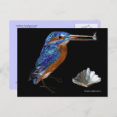 KINGFISHER BRIEFKAART (Voorkant / Achterkant)
