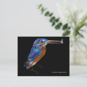 KINGFISHER BRIEFKAART (Staand voorkant)