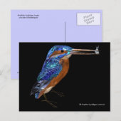 KINGFISHER BRIEFKAART (Voorkant / Achterkant)