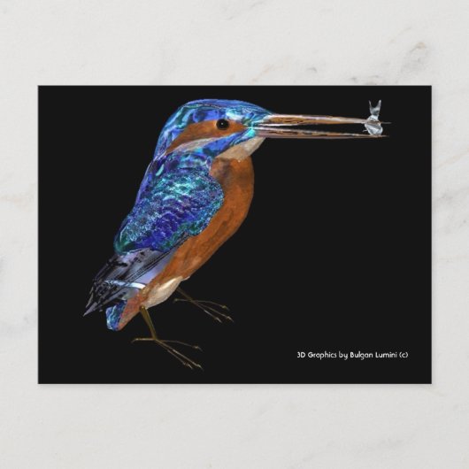 KINGFISHER BRIEFKAART (Voorkant)