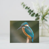 Kingfisher Briefkaart (Staand voorkant)