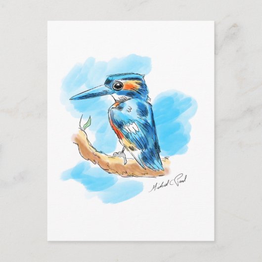 Kingfisher Briefkaart (Voorkant)
