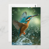 Kingfisher-briefkaart Briefkaart (Voorkant / Achterkant)