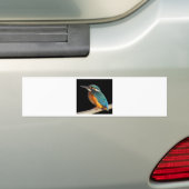 "Kingfisher" Bumpersticker (Op auto)
