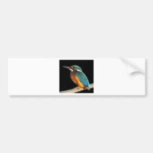 "Kingfisher" Bumpersticker