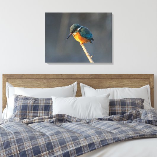 Kingfisher Canvas Afdruk (Insitu (Slaapkamer))