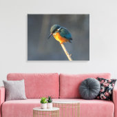 Kingfisher Canvas Afdruk (Insitu (Woonkamer))