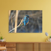 Kingfisher Canvas Afdruk (Insitu (Woonkamer))