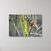 Kingfisher Canvas Afdruk (Voorkant)