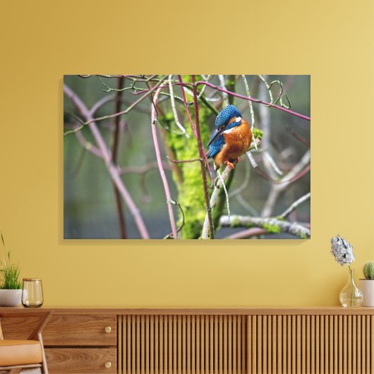 Kingfisher Canvas Afdruk (Insitu (Woonkamer))