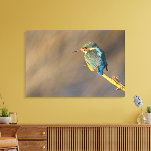Kingfisher Canvas Afdruk (Insitu (Woonkamer))