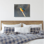 Kingfisher Canvas Afdruk (Insitu (Slaapkamer))