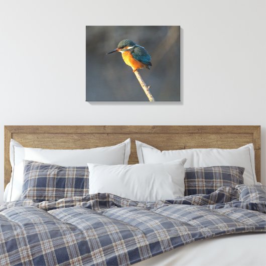 Kingfisher Canvas Afdruk (Insitu (Slaapkamer))