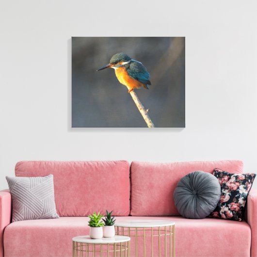 Kingfisher Canvas Afdruk (Insitu (Woonkamer))