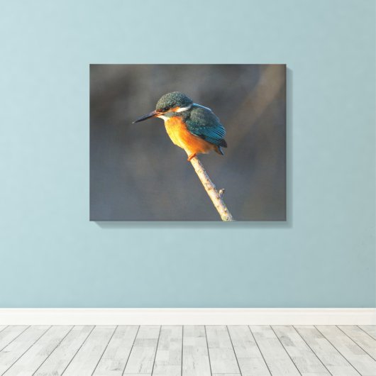 Kingfisher Canvas Afdruk (Insitu (Houten vloer))