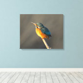 Kingfisher Canvas Afdruk (Insitu (Houten vloer))