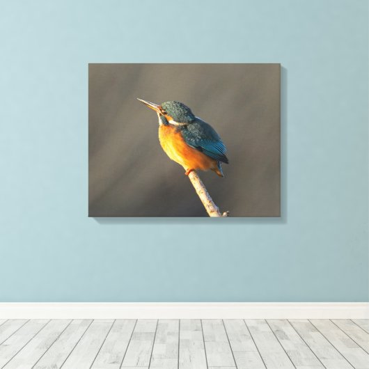 Kingfisher Canvas Afdruk (Insitu (Houten vloer))