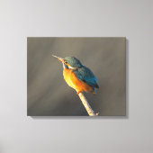 Kingfisher Canvas Afdruk (Voorkant)