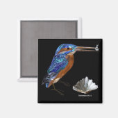 KINGFISHER, Electric Blue, Black Magneet (Voorkant / Achterkant)