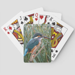 Kingfisher en Willow Pokerkaarten