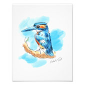Kingfisher Foto Afdruk (Voorkant)