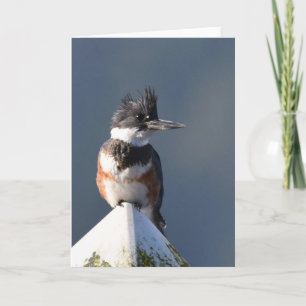 Kingfisher - Frameable Art Kaart