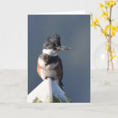 Kingfisher - Frameable Art Kaart (Gele Bloem)