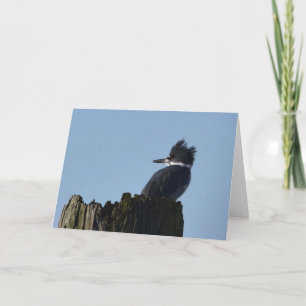 Kingfisher - Frameable Art Kaart