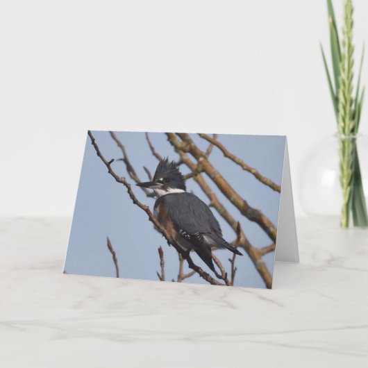 Kingfisher - Frameable Art Kaart (Voorkant)