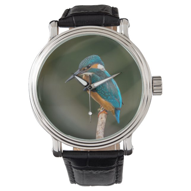 KIngfisher Horloge (Voorkant)