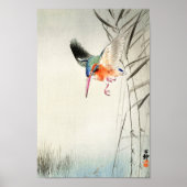 Kingfisher Hunting - Ohara Koson -  art 8 Poster (Voorkant)