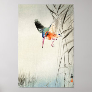 Kingfisher Hunting - Ohara Koson -  art 8 Poster