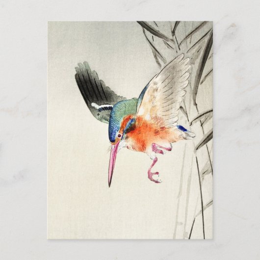 Kingfisher Hunting (vergrote) - Ohara Koson - Briefkaart (Voorkant)