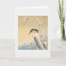 Kingfisher in de sneeuw