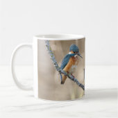 Kingfisher in Hula Reserve Koffiemok (Links)