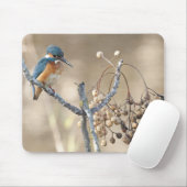 Kingfisher in Hula Reserve Muismat (Met muis)