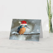 Kingfisher kerstkaart kaart (Voorkant)