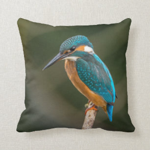 Kingfisher Kussen