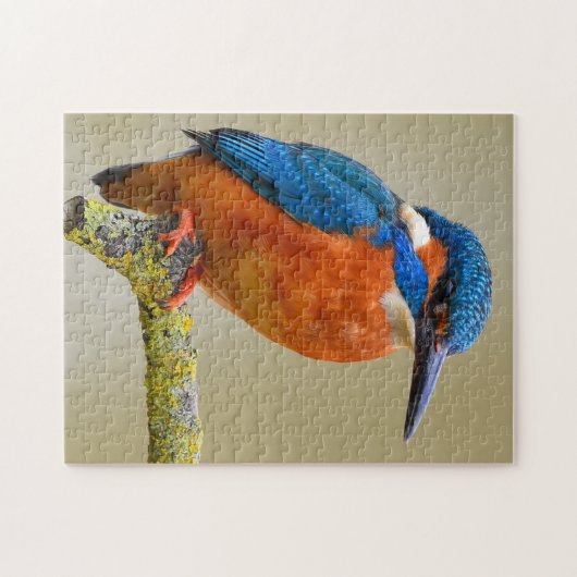 Kingfisher Legpuzzel (Horizontaal)