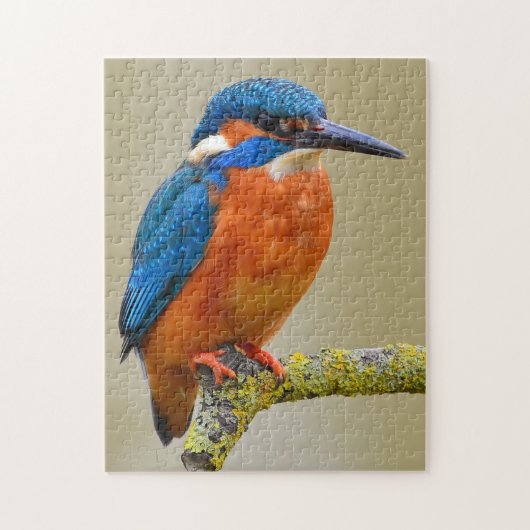 Kingfisher Legpuzzel (Verticaal)