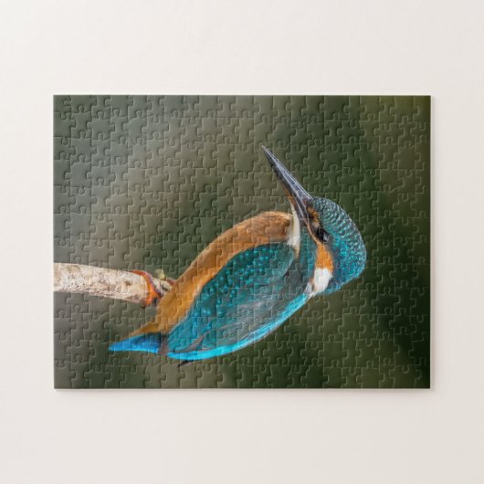 KIngfisher Legpuzzel (Horizontaal)