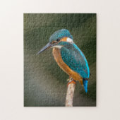 KIngfisher Legpuzzel (Verticaal)