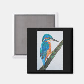 Kingfisher Magnet (Voorkant / Achterkant)