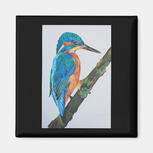 Kingfisher Magnet (Voorkant)