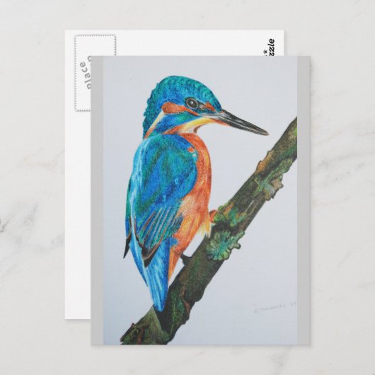 Kingfisher Merchandise Briefkaart (Voorkant / Achterkant)
