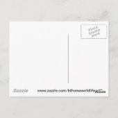 Kingfisher Merchandise Briefkaart (Achterkant)